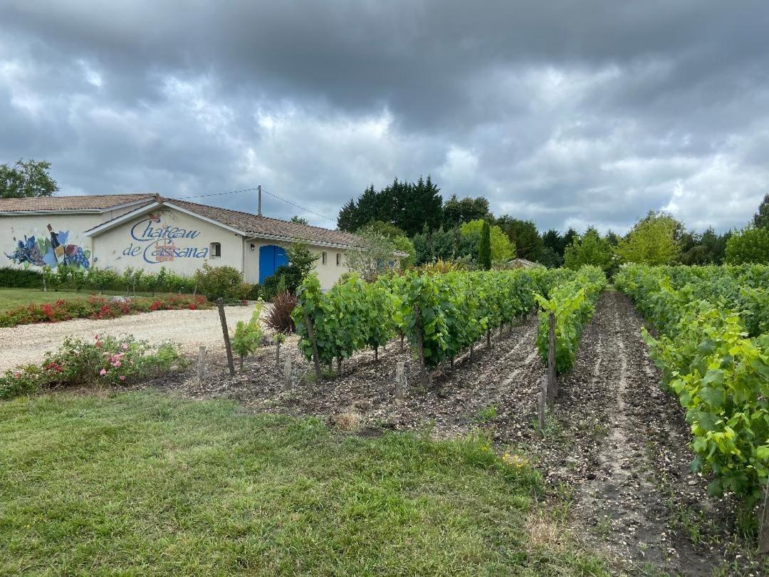 Domaine Du Cassana Vila Saint-Sauveur  Exterior foto